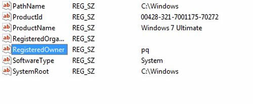 Besitzer und Organisation ändern Registry