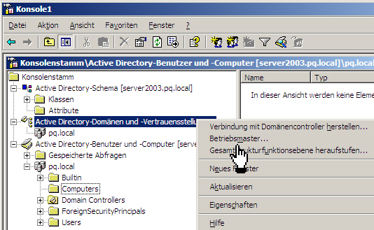 Domänennamensmaster