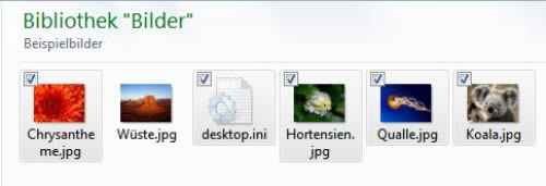 Dateien mit Kontrolkästchen versehen